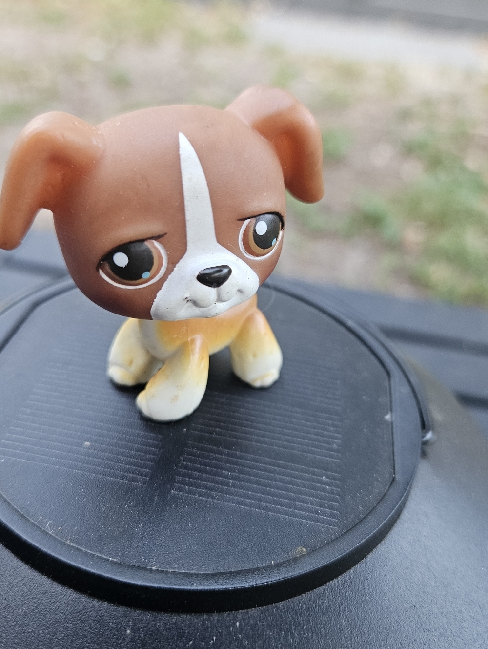 BOXER DOG #25 - Authentic Littlest Pet Shop - Hasbro LPS